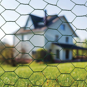 Close-up view of green PVC coated hexagonal chicken wire mesh with blurred residential house and green lawn in background