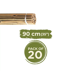 Bundle of natural bamboo canes 90cm long bound with white ties, showing pack of 20 units with green product label indicating size and quantity