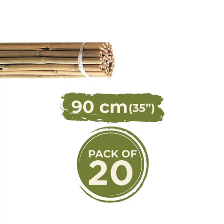 Grass Roots 90cm Pre-Packed Natural Bamboo Canes | GRT968161