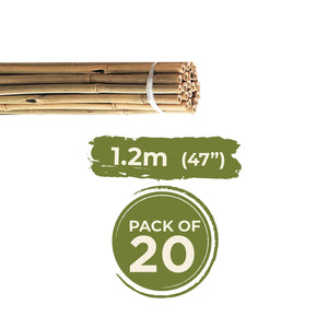 Bundle of natural bamboo canes tied with white binding, 1.2 metres long, pack of 20, shown against white background with green product information labels