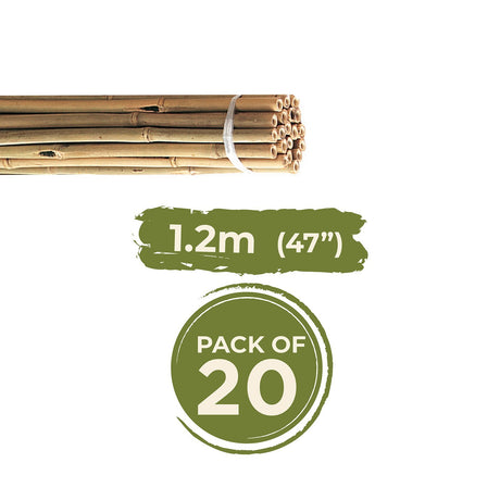Grass Roots 1.2 Metre Pre-Packed Natural Bamboo Canes | GRT968185