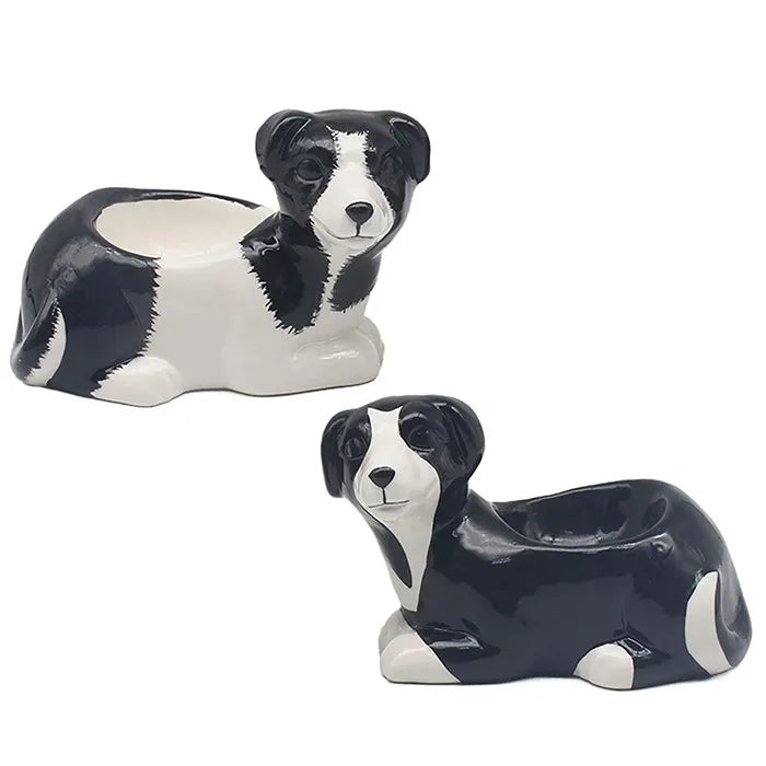 Two ceramic egg cups shaped like black and white collie dogs in a lying down position, featuring glossy glazed finish with detailed facial features and floppy ears