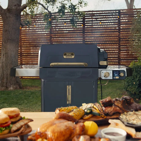 Ninja FlexFlame Gas BBQ and Outdoor Cooking System - Blue | PG301UKBL