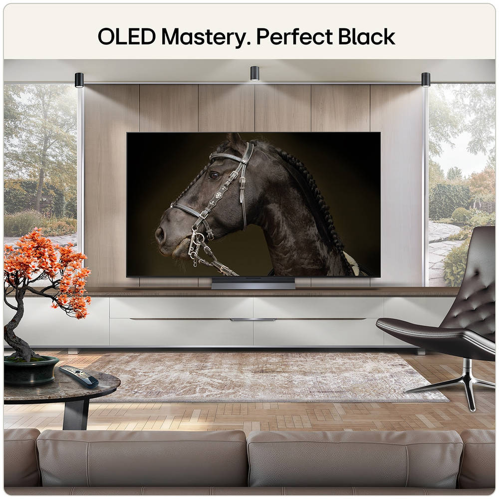 LG C6 55 Inch OLED 4K Smart TV - Black