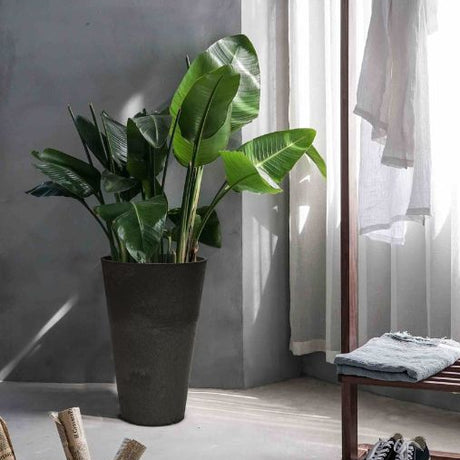 Tierra Verde Concerto Garden Planter Round 55cm in slate grey containing lush green tropical plants displayed indoors by a window with natural light
