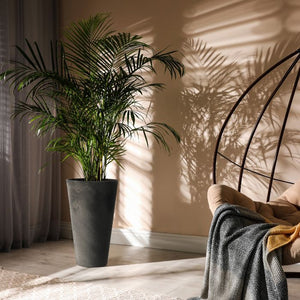 Tierra Verde Concerto Garden Planter Round 66cm in slate grey with green palm plant casting shadows on beige wall, styled with cozy blanket and natural sunlight in modern interior setting