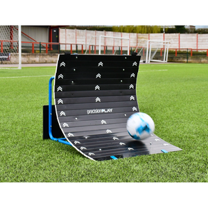 Dog agility course with a ball on a grass field