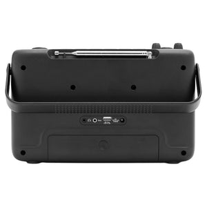 Rear view of Roberts Stream 219 black portable internet stereo radio showing connection ports, control buttons, and carrying handles