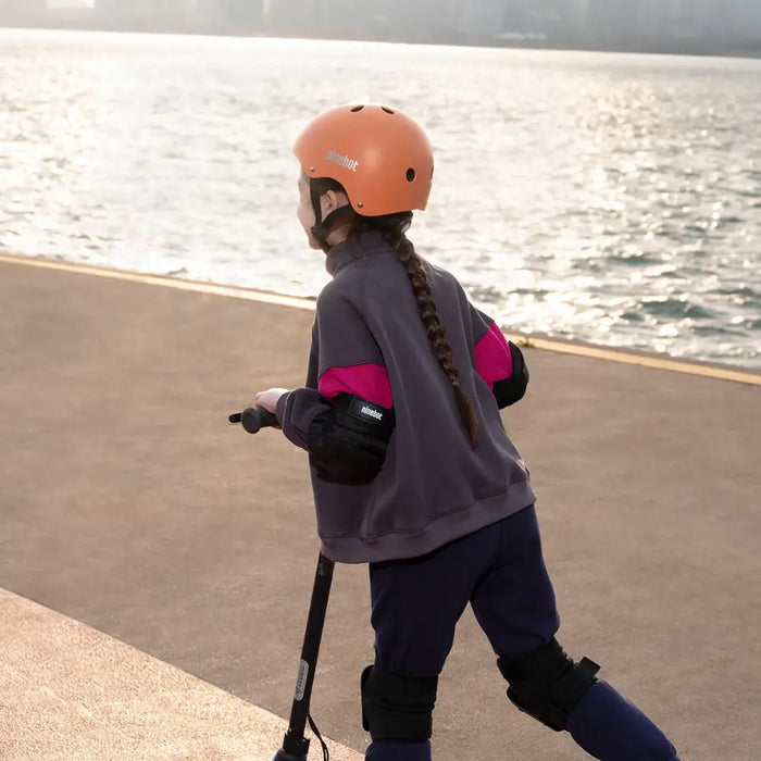Segway_Accessories