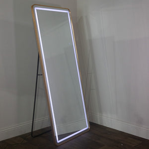 Tara Lane Modena LED Cheval Mirror 170cm x 70cm - Gold | TL6295