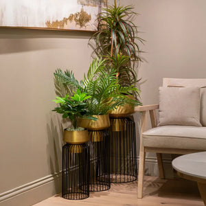 Tara Lane Lisa Planters with Stand Set of 3 - Black / Brass | TL6925