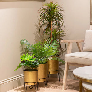 Tara Lane Anisha Planters with Stand Set of 3 - Brass / Black | TL6929