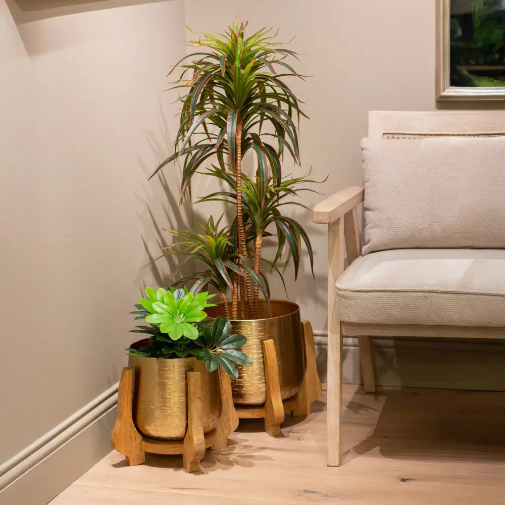 Tara Lane Chandra Planters with Mango Stand Set of 2 | TL6932