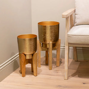 Tara Lane Aruna Planters with Mango Stand Set of 2 - Gold | TL6933