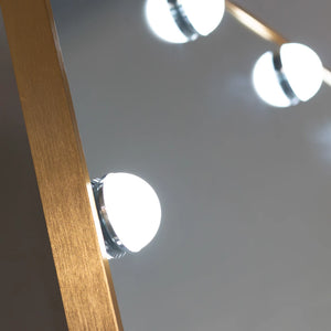 Tara Lane Modena Cheval LED Mirror 170cm x 70cm - Gold | TL7011