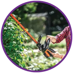 Hedge Trimmers | Heavins.ie