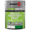 Interior Paint