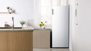 Hisense 179cm Tall Larder Fridge - Stainless Steel | RL415N4ACE