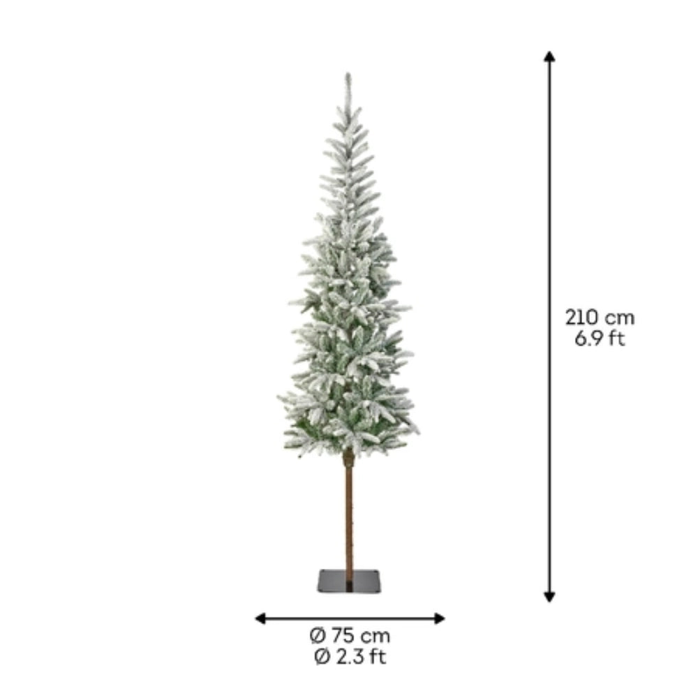 Everlands Snowy Alpback Fir Christmas Tree 7ft (2.1 Metre) | 301293