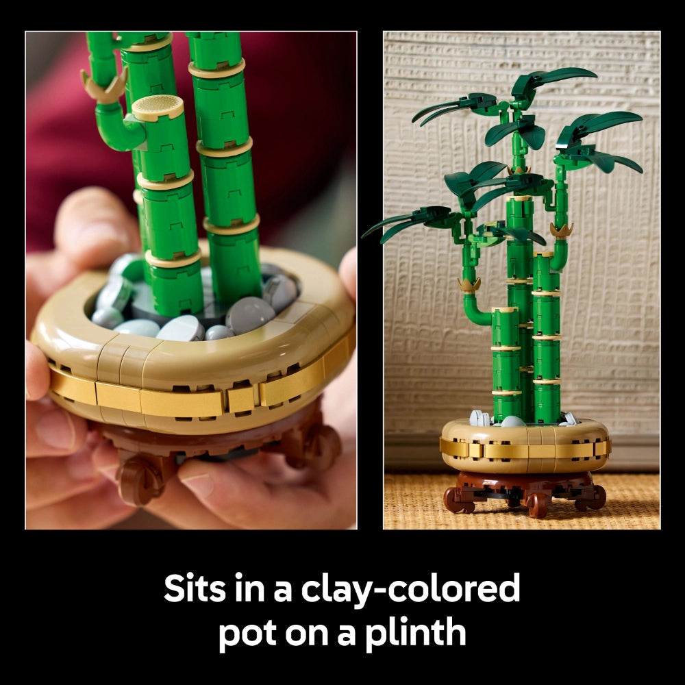 LEGO Lucky Bamboo 10344 set displayed in two views showing green bamboo stalks with leaves in a tan clay-colored pot base on a brown plinth, featuring detailed brick construction with gold and brown accents
