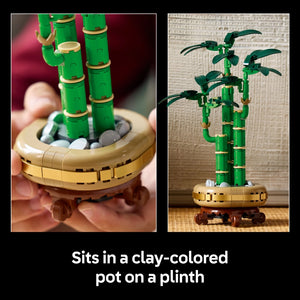 LEGO Lucky Bamboo 10344 set displayed in two views showing green bamboo stalks with leaves in a tan clay-colored pot base on a brown plinth, featuring detailed brick construction with gold and brown accents