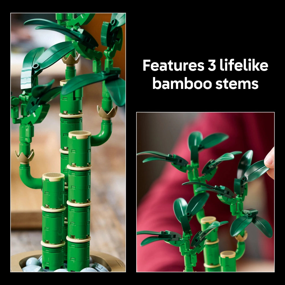 LEGO Lucky Bamboo 10344 set featuring 3 articulated green bamboo stems with tan joints and movable leaf elements displayed against pink and natural backgrounds