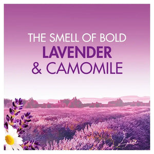 Product image of Bold All-in-1 PODS Lavender & Camomile laundry tablets featuring text on a gradient purple background with a scenic lavender field landscape, white daisy flowers, and purple flower blooms in the foreground