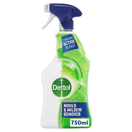 Dettol Mould And Mildew Remover Spray 750ml | 1403044