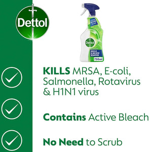 Dettol Mould And Mildew Remover Spray 750ml | 1403044