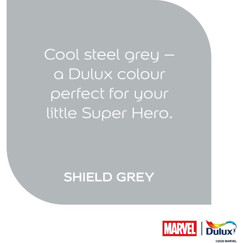 Dulux Easycare Disney MARVEL Avengers Matt Wall and Ceiling Paint 2.5 Litre - Shield Grey | 9072051