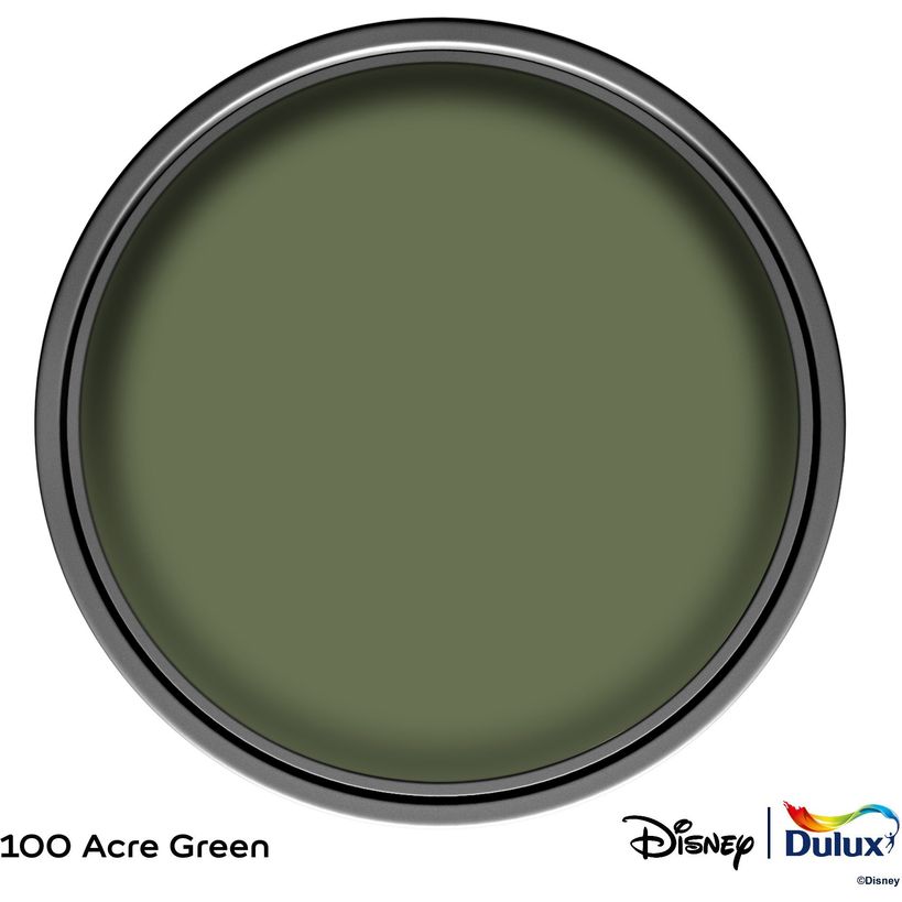 Dulux Easycare Disney Winnie the Pooh Matt Wall and Ceiling Paint 1.25 Litre - 100 Acre Green | 9072042