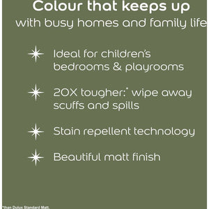Dulux Easycare Disney Winnie the Pooh Matt Wall and Ceiling Paint 1.25 Litre - 100 Acre Green | 9072042