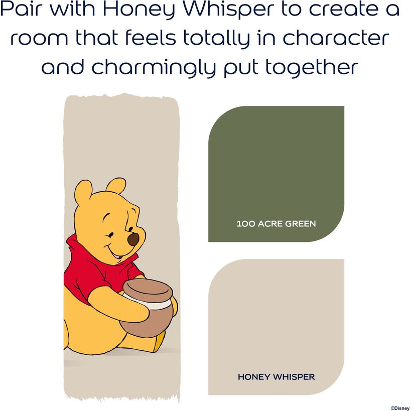 Dulux Easycare Disney Winnie the Pooh Matt Wall and Ceiling Paint 1.25 Litre - 100 Acre Green | 9072042
