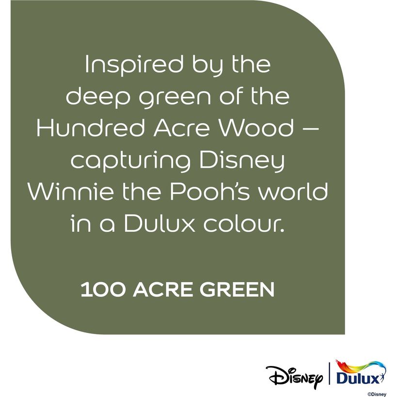Dulux Easycare Disney Winnie the Pooh Matt Wall and Ceiling Paint 1.25 Litre - 100 Acre Green | 9072042