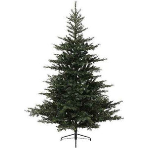 Everlands Grandis Fir Christmas Tree 10ft 3 Metre | 9681454