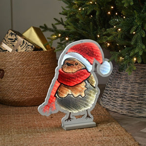 Festive 40cm Robin with Scarf Infinity Mirror Light | P065927