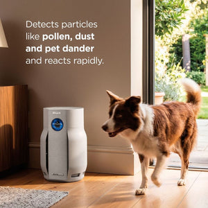 Shark BreatheClear with NeverChange6 Air Purifier - Dove | HP162UK