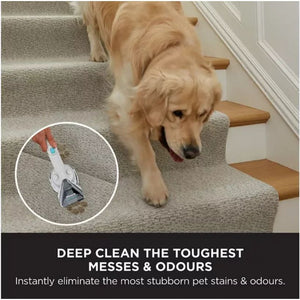Shark CarpetXpert Deep Carpet Cleaner with Built-In StainStriker | EX200UK