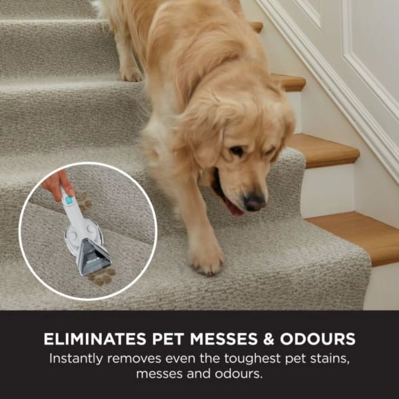 Golden Retriever on carpeted stairs with Shark StainStriker Pet Stain & Spot Cleaner handheld device shown in circular inset, demonstrating pet mess and odour removal on beige carpet