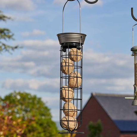 Black metal wire suet ball feeder filled with brown suet cakes hanging from wire hook against blue sky with trees and house visible in background