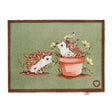 Hug Rug doormat featuring two hedgehogs with red and white quills among yellow flowers, one hedgehog in a terracotta pot, on sage green background with brown border, 65cm x 85cm