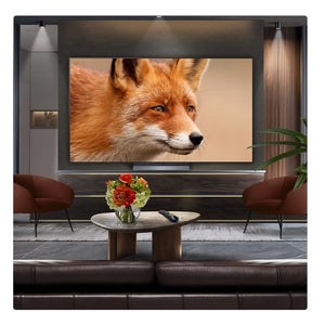LG 77 Inch C5 OLED Evo 4K Smart TV | OLED77C54LA.AEK