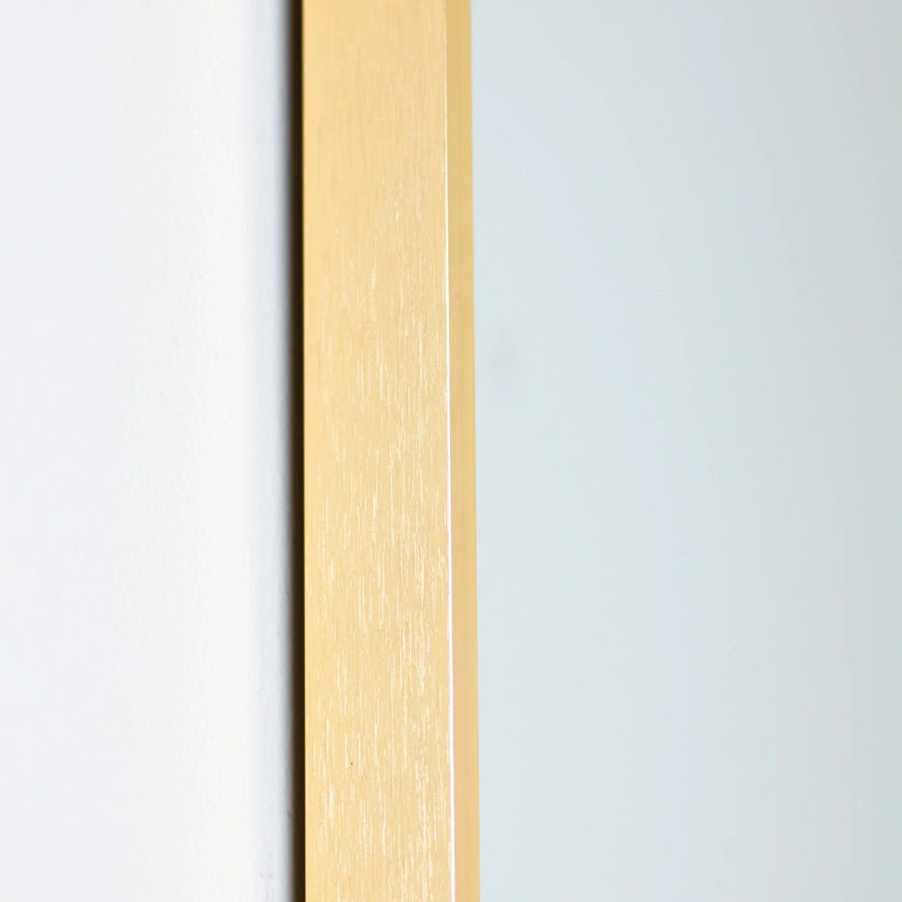 Tara Lane Modena Pill Shape Mirror 40cm x 120cm - Gold | TL7232