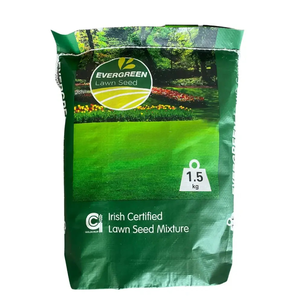 Evergreen Lawn Seed 1.5kg bag with green packaging featuring a circular logo, product name, weight indicator, and Irish Certified Lawn Seed Mixture certification mark, displayed against white background