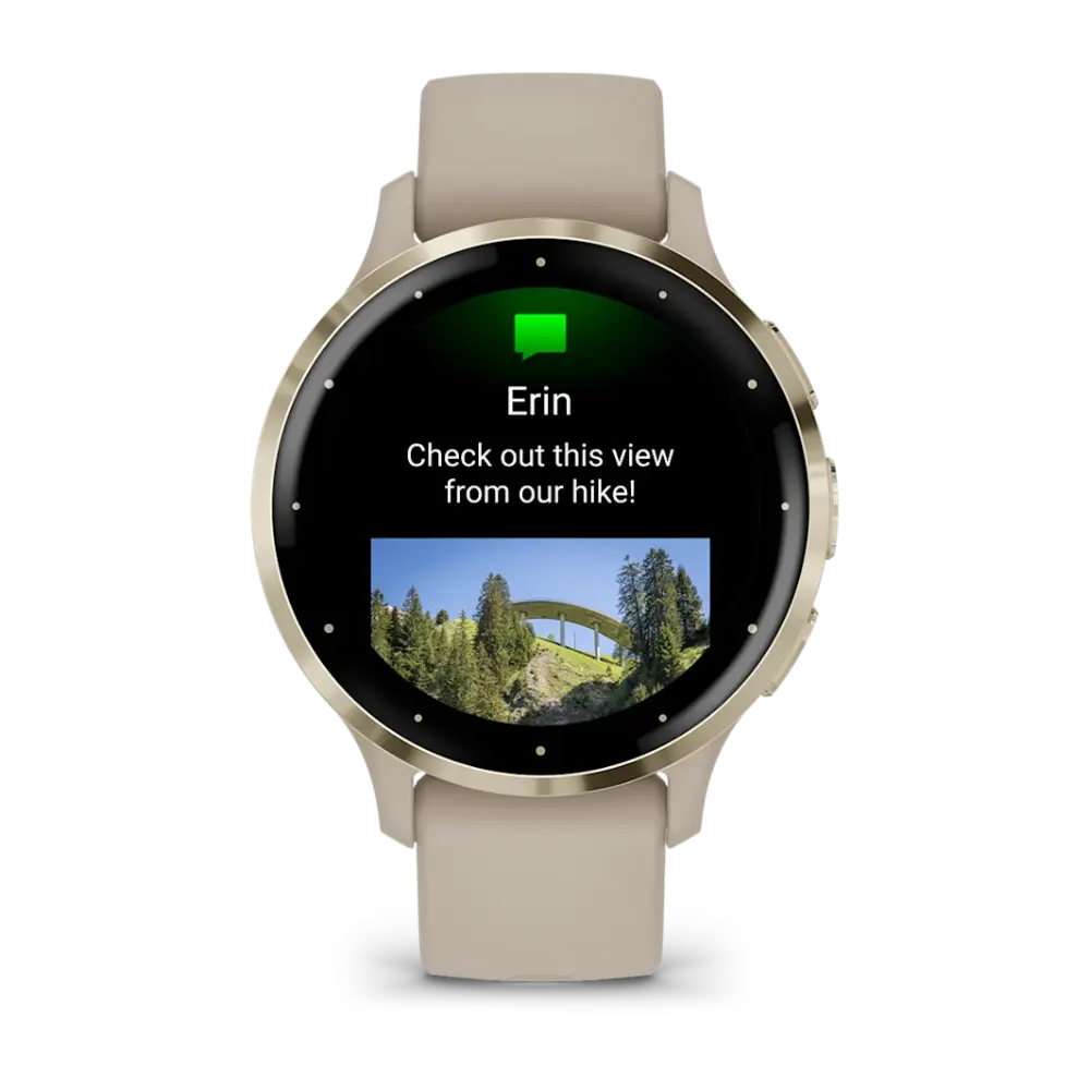 Garmin Venu 3S Soft Gold Stainless Steel Bezel Silicone Band - French Grey | 49-GAR-010-02785-02