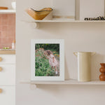 Aura Walden 15 Inch Digital Photo Picture Frame - Clay with Paper Mat | AF115-MWHT