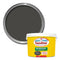 Exterior Paint