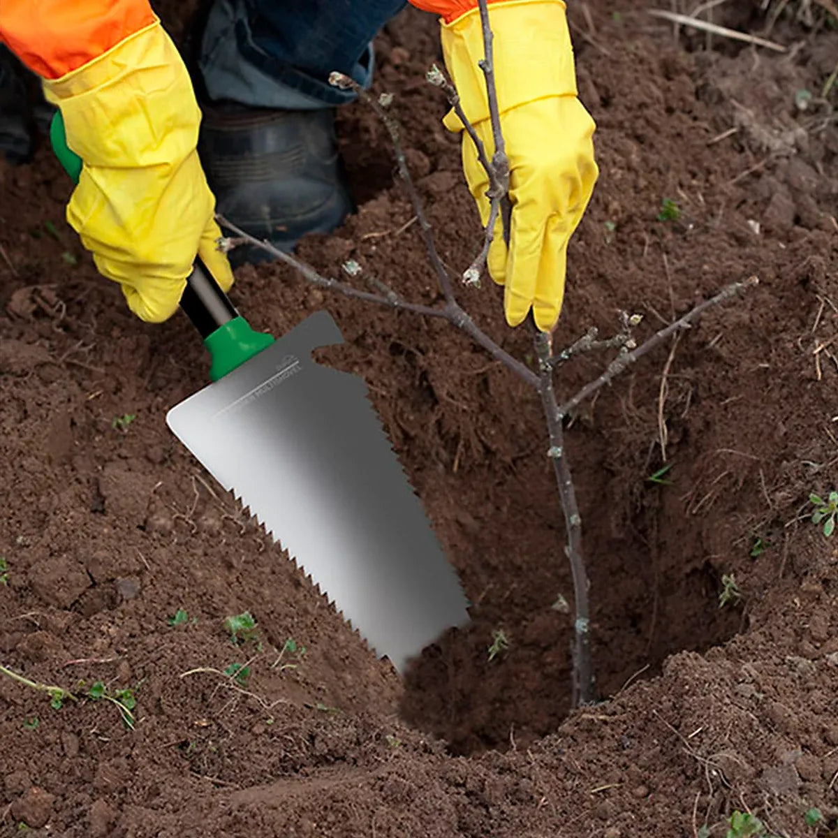 Person wearing yellow gardening gloves using a silver and green Root Digger trowel to dig into dark brown soil while planting a bare branch seedling in garden