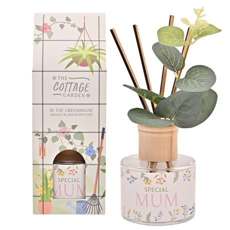 Diffuser with 'Special Mum' text and eucalyptus leaves, next to its packaging.