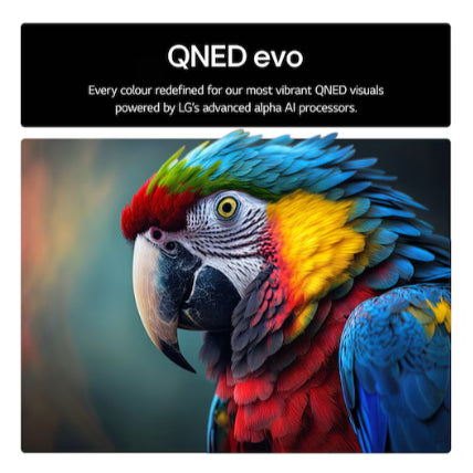 LG 43 inch QNED Evo AI television displaying vibrant macro image of colorful macaw parrot with red yellow and blue feathers showcasing advanced alpha AI processor color enhancement technology